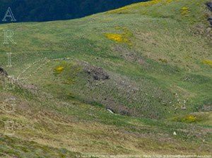 La Gadine du pic de l'Etang Rébenty (2415m)