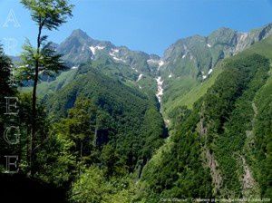 Mont Valier - Col du Cruzous depuis le  bois de Japtoï