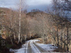 Sentier de Larnat