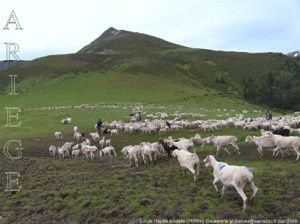 Col de l'Herbe Soulette (1586m)