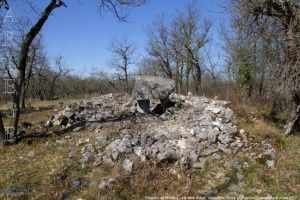 Dolmen de Brillaud