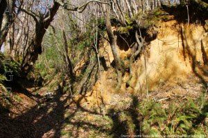 Chemin - Montfa