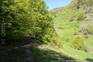 Vallée de l'Ourza (1390m)