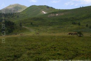 Pla de Mounégou (1990m)