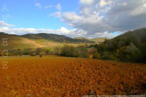 Lieurac (365m)