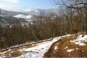 Montée au cap de Broc (810m)