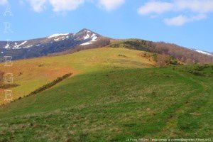 Le Picou (1602m)