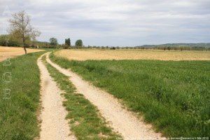 Chemin de Saint-Amadou