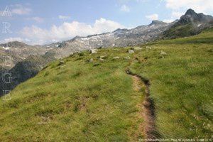 Col du Morech (2024m)