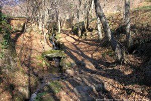 Chemin d'Ampriels (1050m)