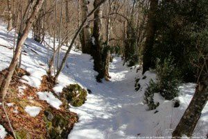 Chemin du col de la Crouzette (1366m)