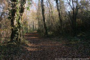 Chemin du Mas Vieux