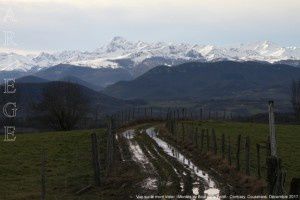 Montée au Bout de la Forêt - Vue sur le mont Valier