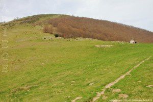 Col de l'Arraing (1351m)