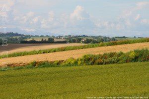 Vue sur les coteaux