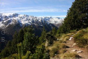 Montée à l'orri de Toudous (1811m)