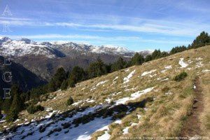 Montée à l'orri de Toudous (1811m)