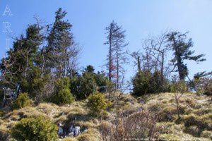 Le pas de l'Ours (1400m)