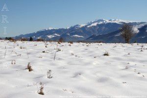 Massif de Tabe vu de Montcoustan (920m)