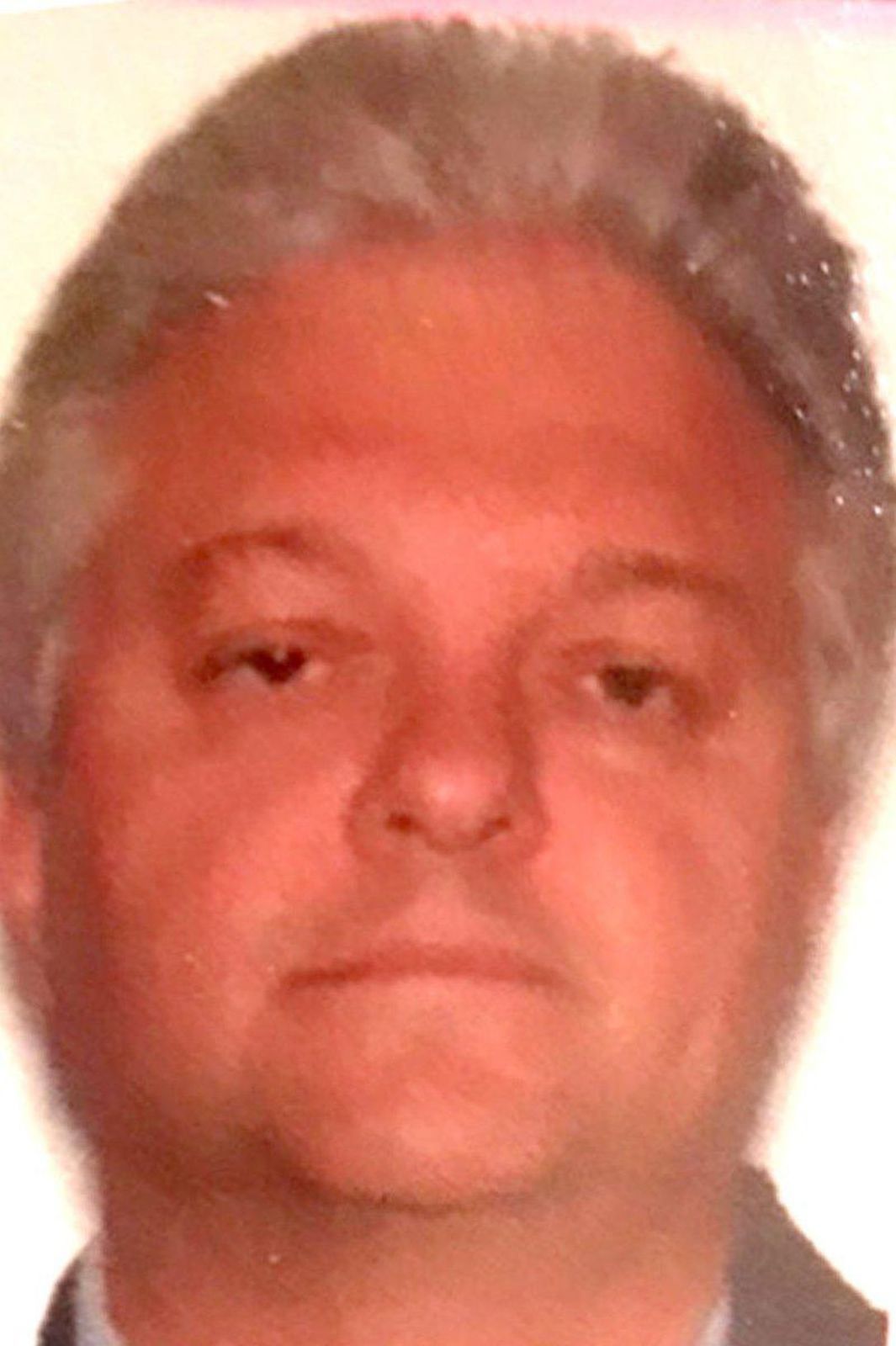 Domenico Violi