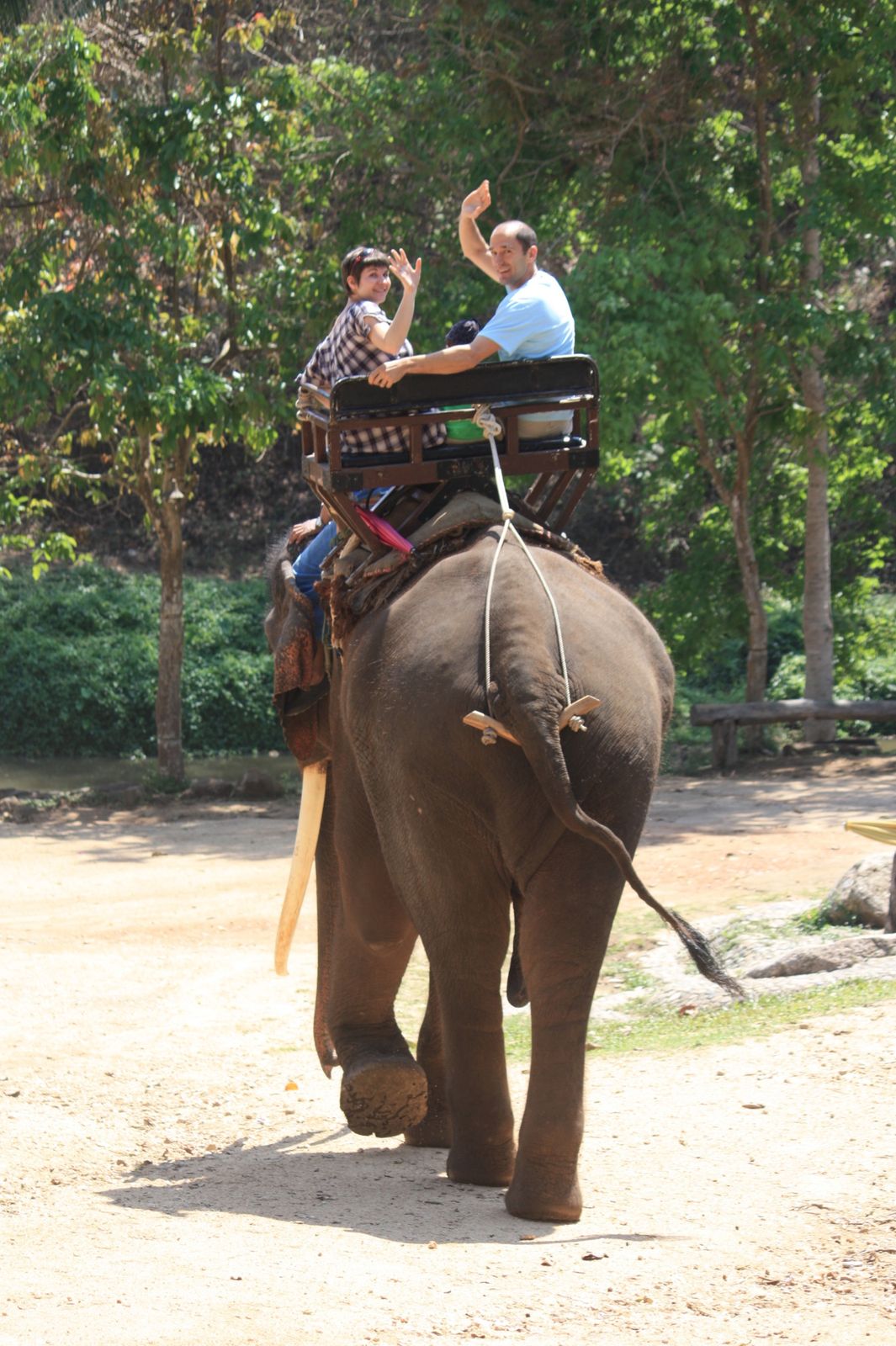 Un éléphant qui se balançait...