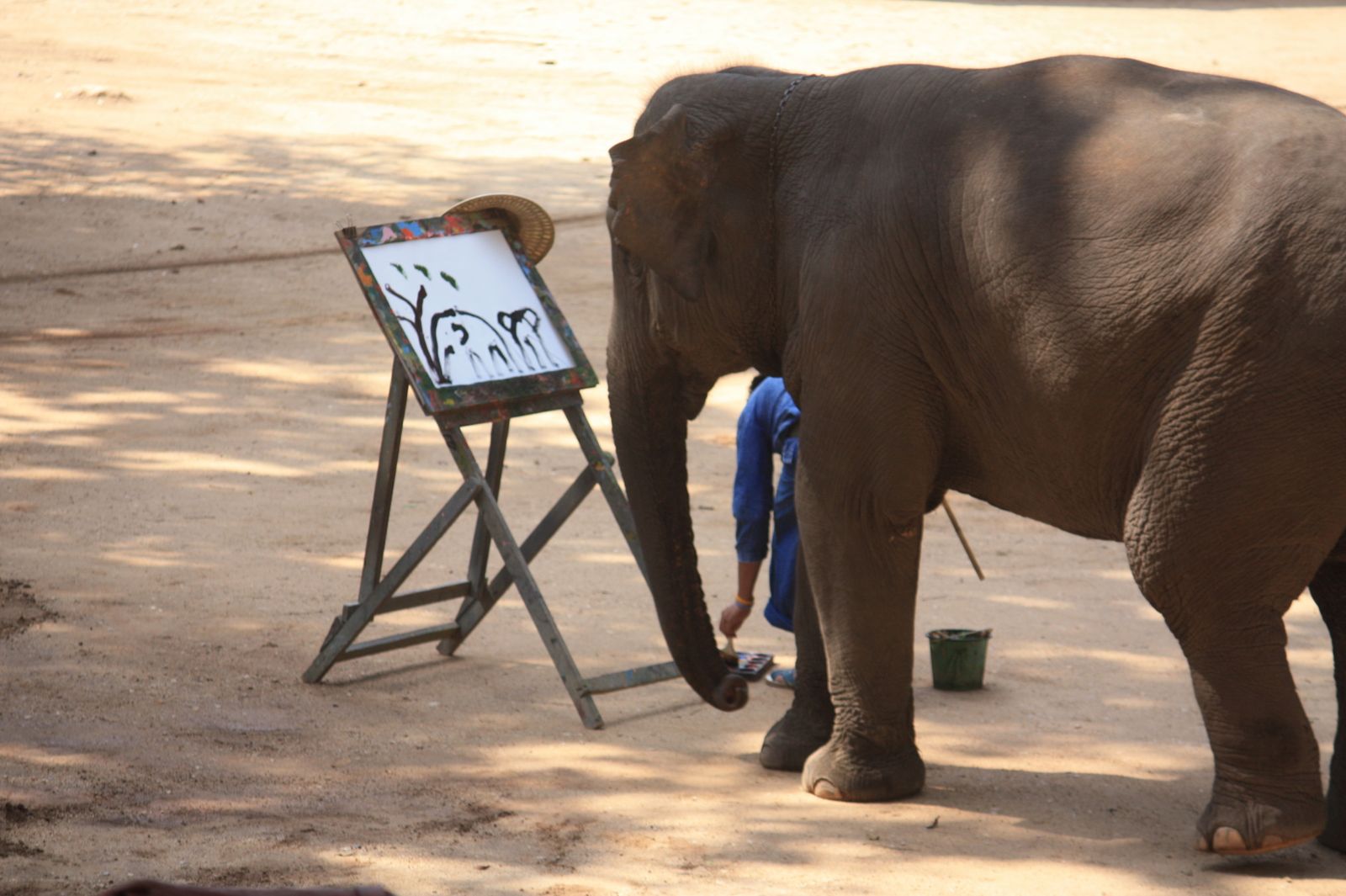 Un éléphant qui se balançait...