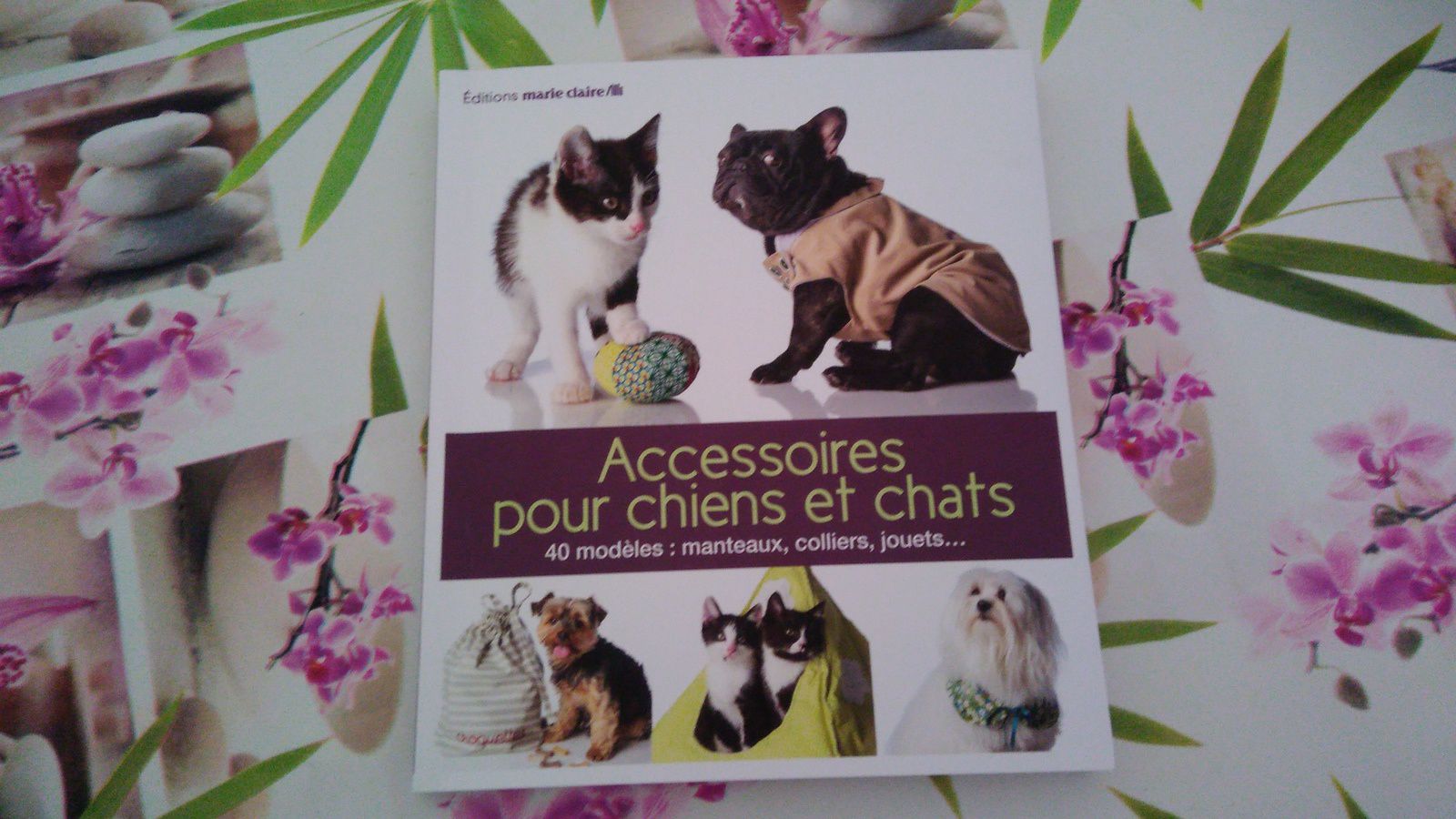 J'ai reçu le livre Accessoires pour chiens et chats pour faire des DIY ! -  Une Belle Vie De Chat : un blog sur le chat !