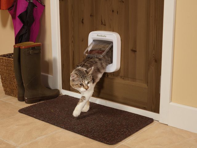 La Chatiere Avec Puce Electronique Petsafe Une Belle Vie De Chat Le Blog 100 Chat La Chatiere Avec Puce Electronique Petsafe Une Belle Vie De Chat Le Blog 100 Chat