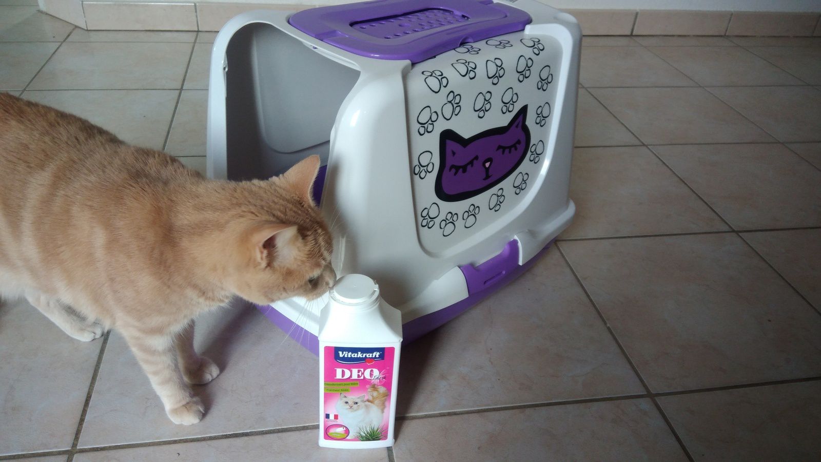Oliver a testé la maison de toilette et le désodorisant litière Vitakraft -  Une Belle Vie De Chat : un blog sur le chat !