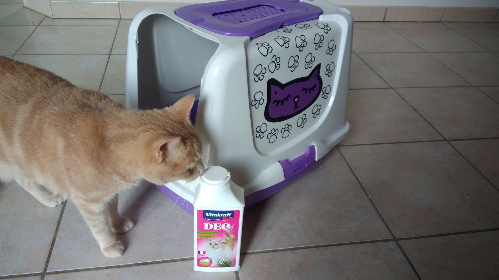 Oliver A Teste La Maison De Toilette Et Le Desodorisant Litiere Vitakraft Une Belle Vie De Chat Un Blog Sur Le Chat