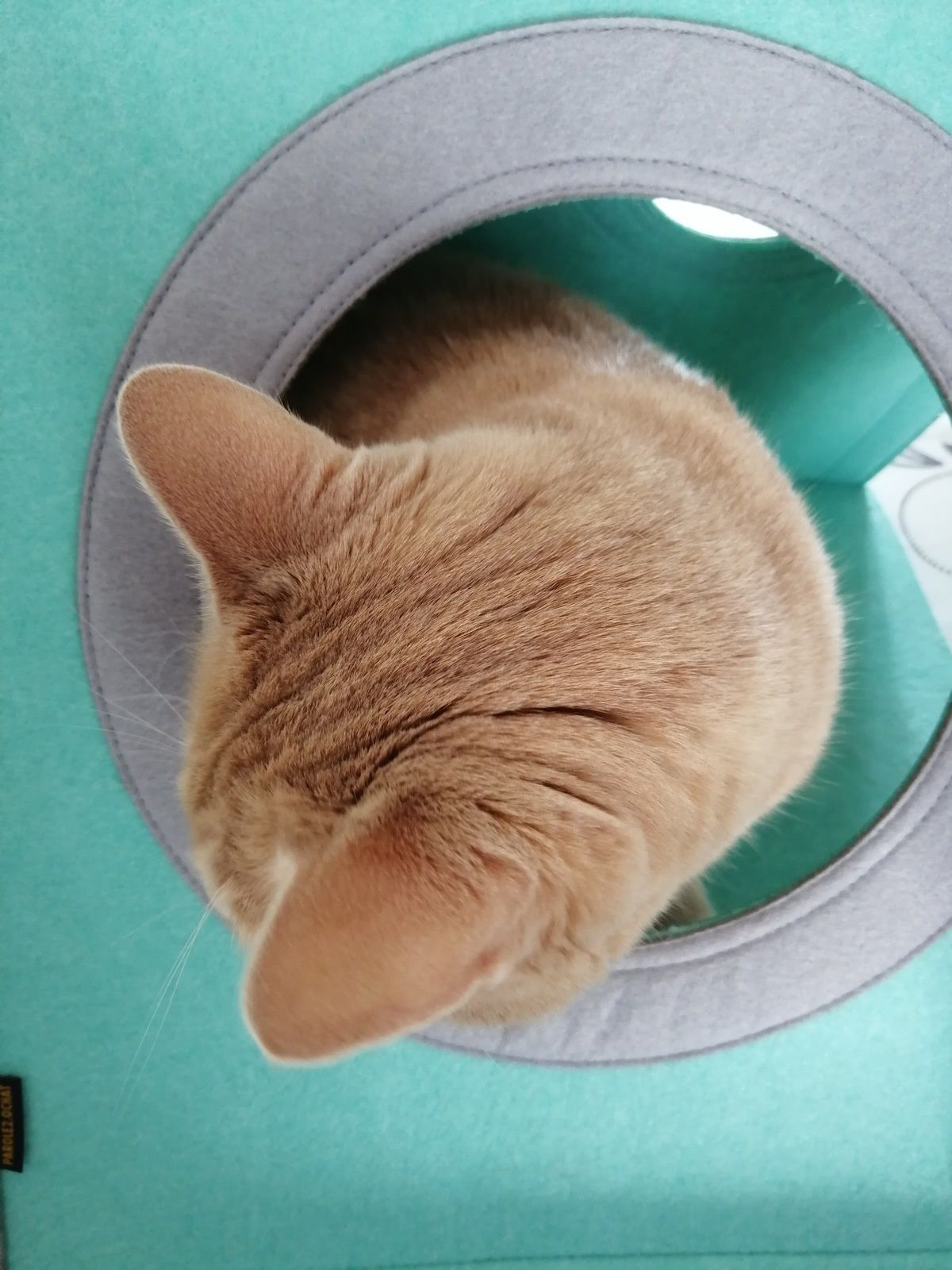 Tente pliable 2.0. Parole de chat Vitakraft