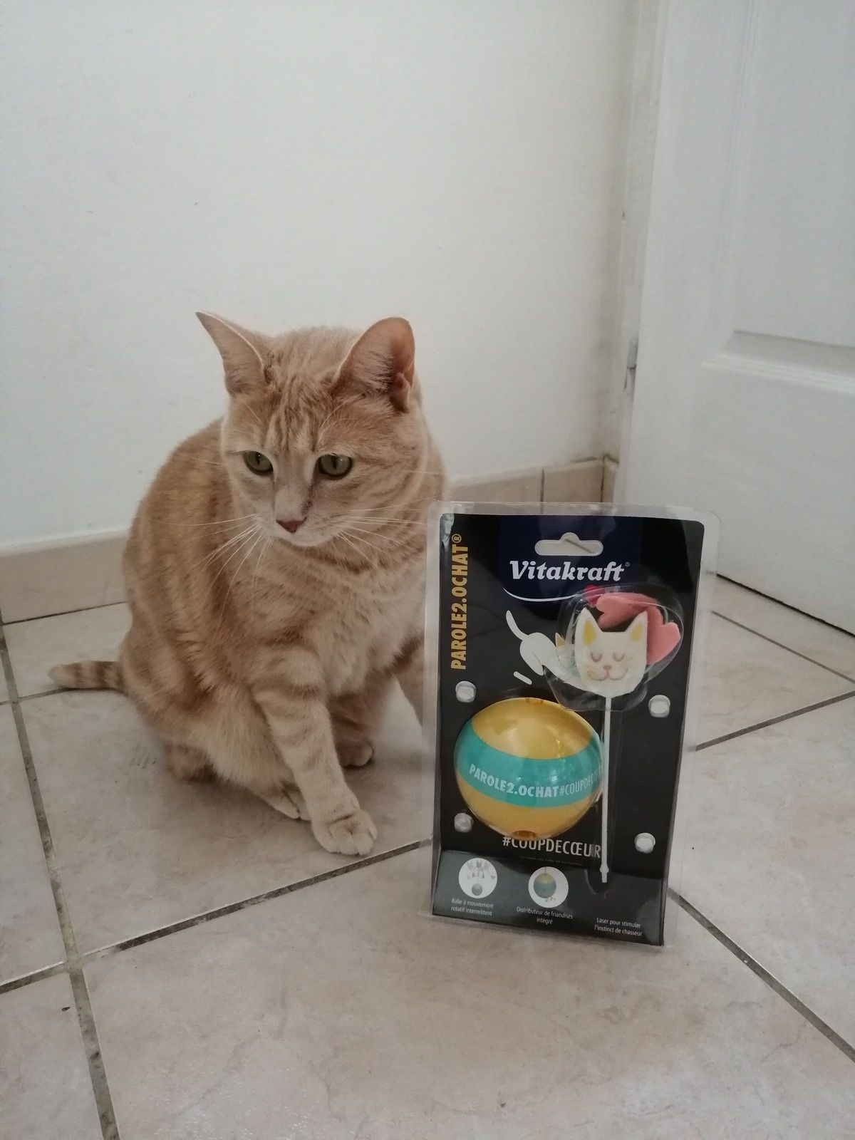 Oliver A Teste Le Jouet Culbuto Avec Laser Vitakraft Une Belle Vie De Chat Le Blog 100 Chat Oliver A Teste Le Jouet Culbuto Avec Laser Vitakraft Une Belle Vie De Chat Le Blog 100 Chat