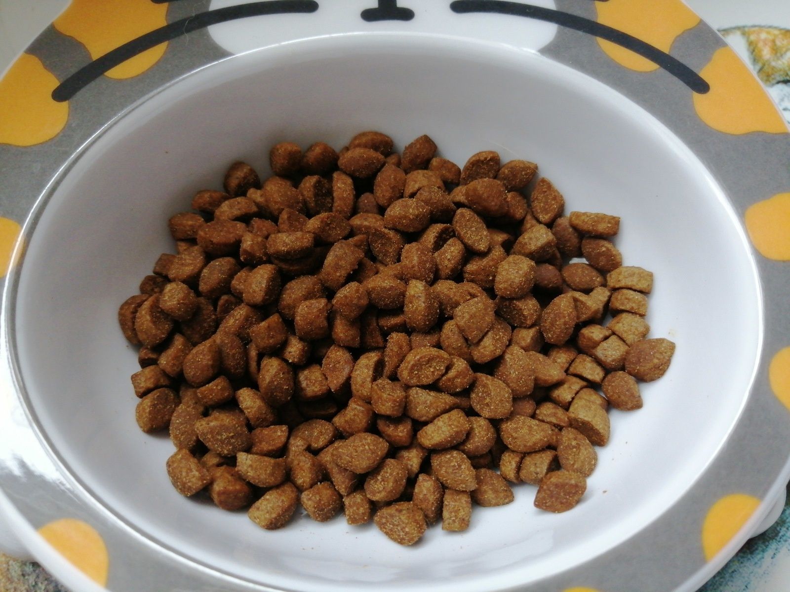 Croquettes DYNAMICATS Demavic