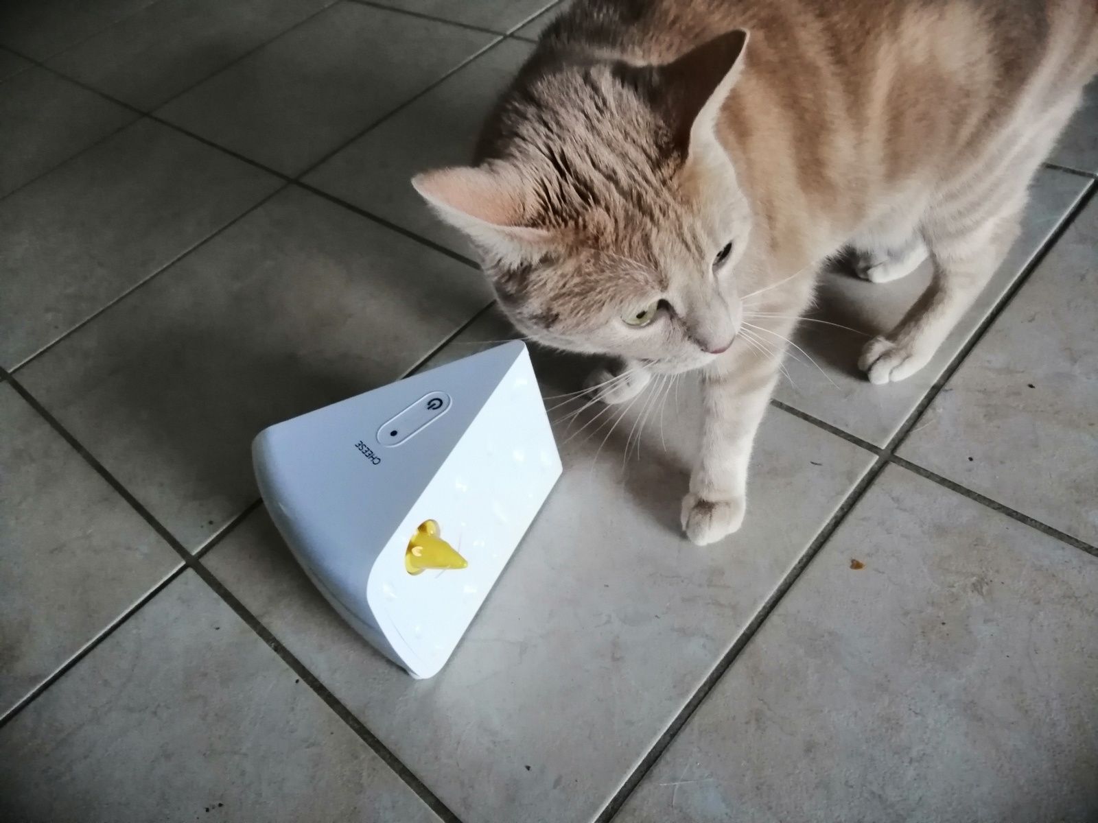 FroliCat Cheese PetSafe