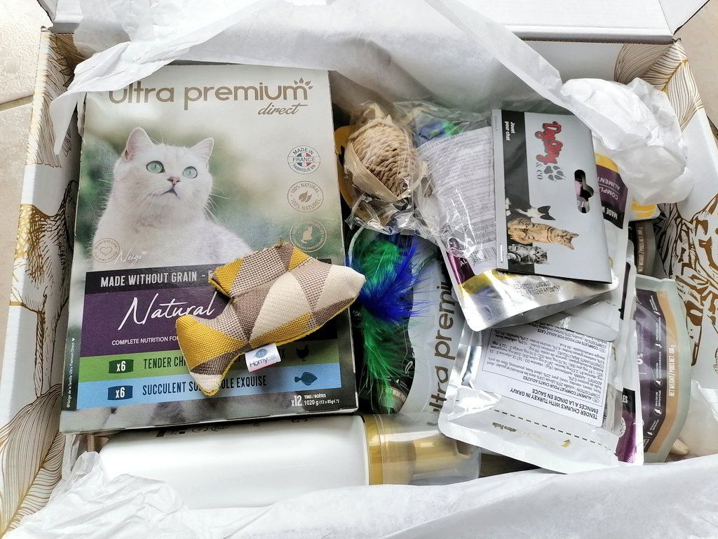 Box cadeau pour Chat - Ultra Premium Direct