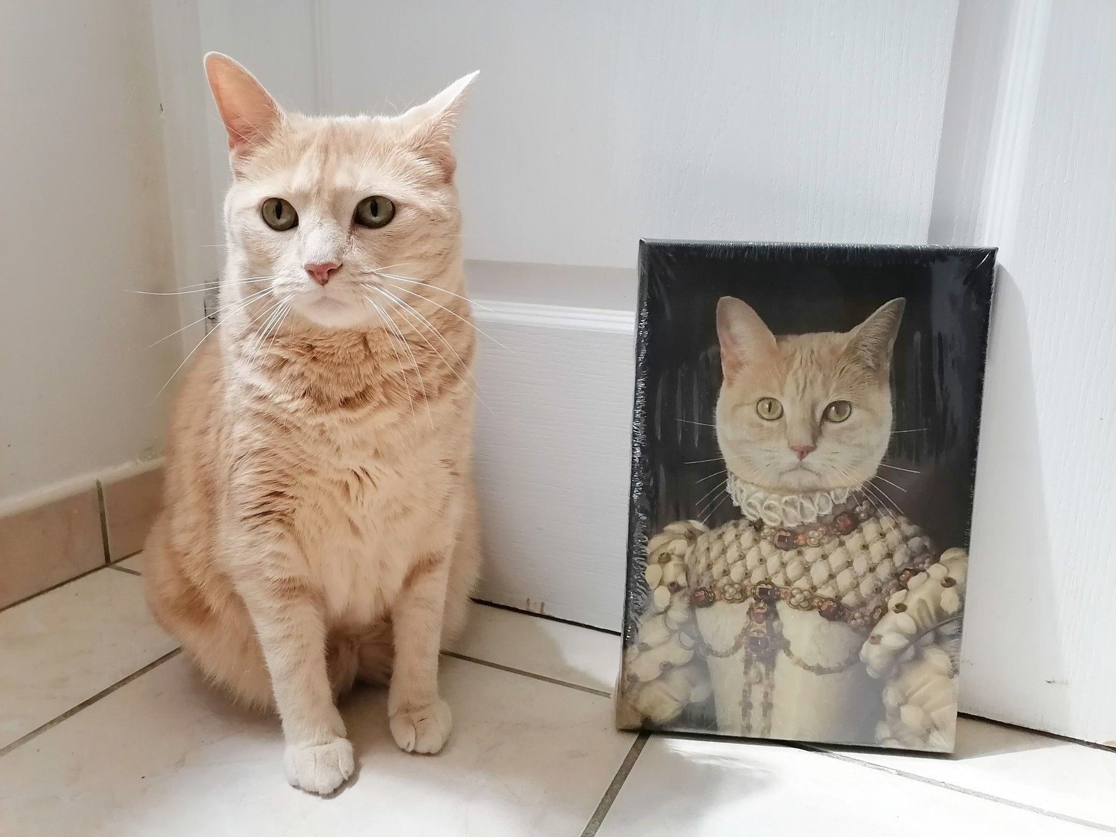 Toile chat Animojo