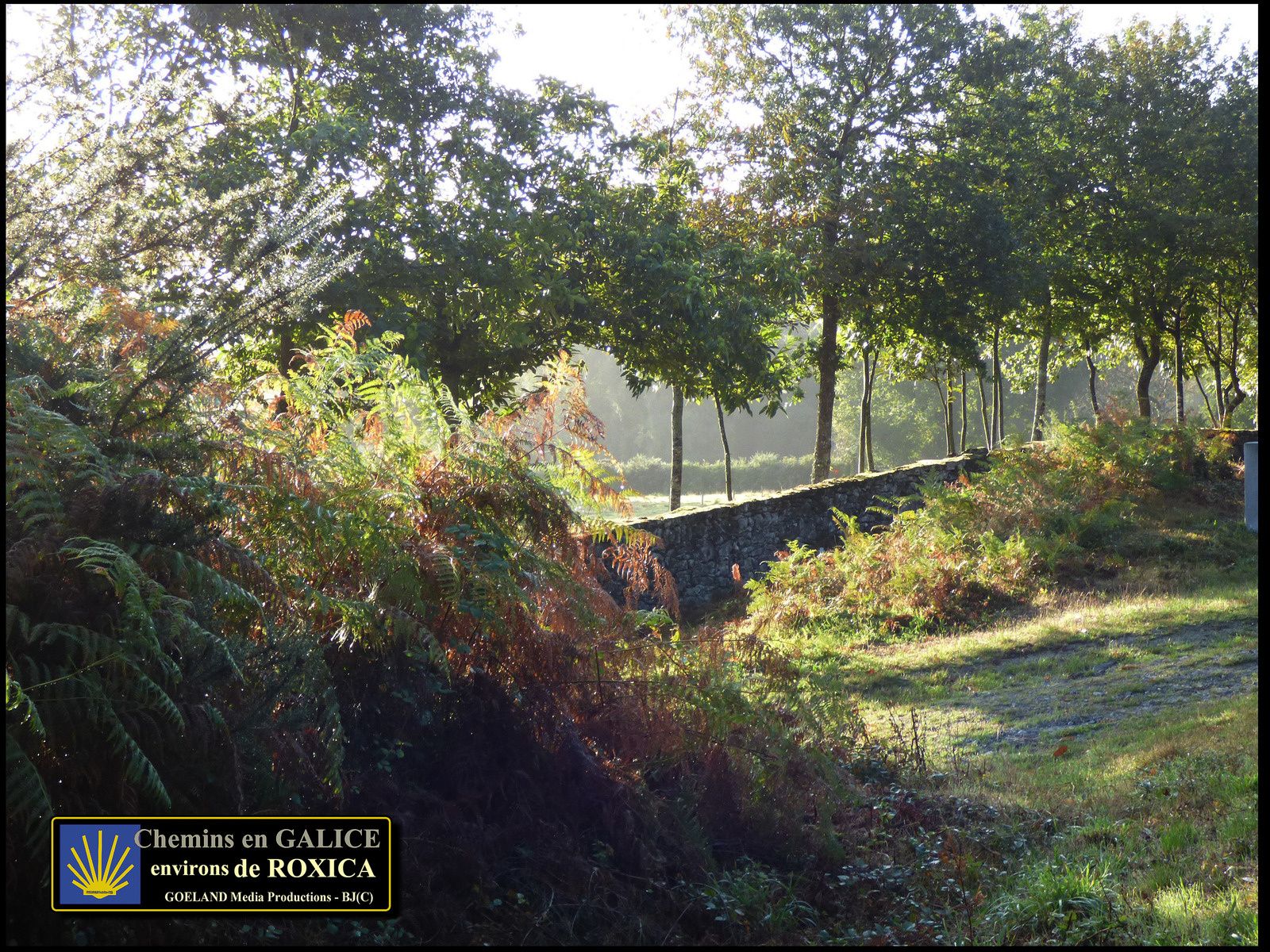 Chemin en GALICE entre ROXICA et SOBRADO dos MONXES
