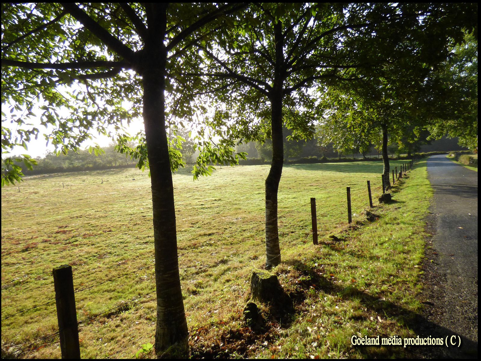 Chemin en GALICE entre ROXICA et SOBRADO dos MONXES
