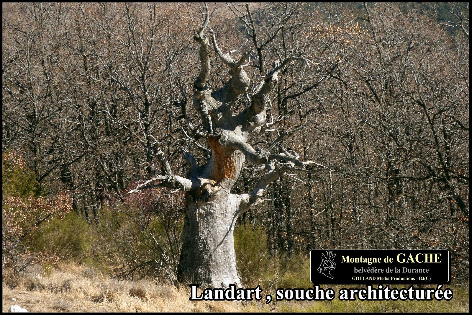 Totem de la MONTAGNE de GACHE - alpes de Haute Provence - sommet sisteronnais