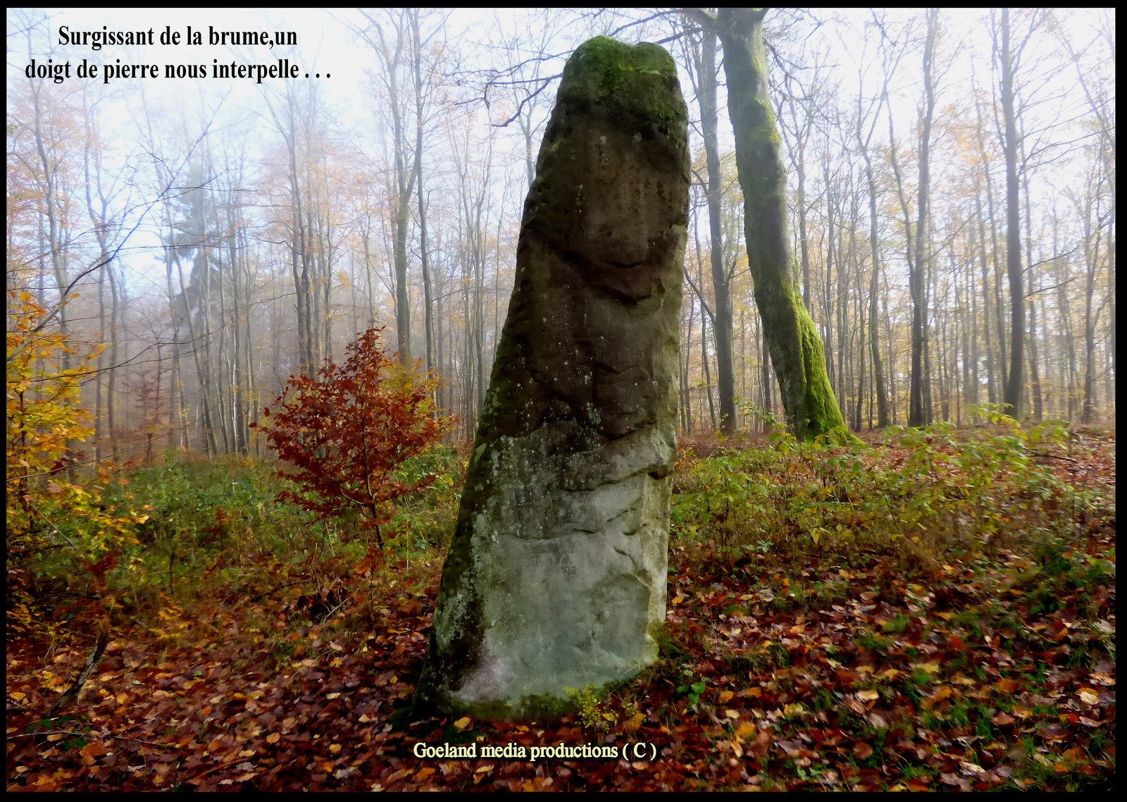 Menhir SPITZSTEIN ( Pierre pointue ) - Meizenthal (b Moselle )