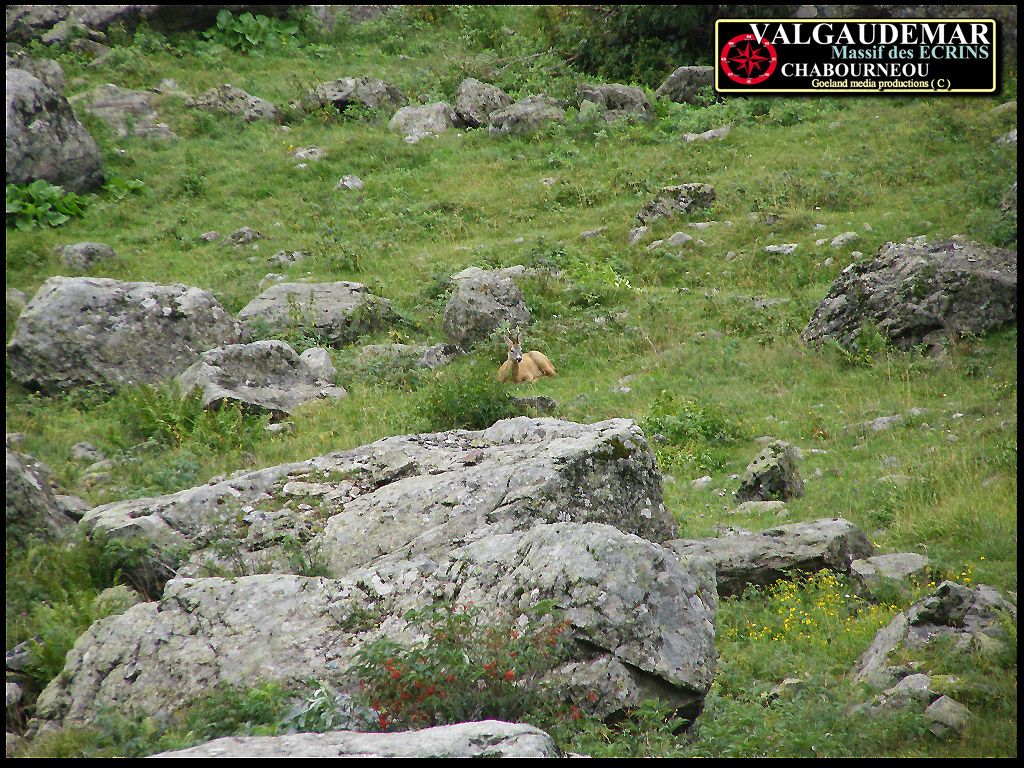Vallée de la SEVERAISSE en Valgaudemar - parc des Ecrins département des Haures Alpes