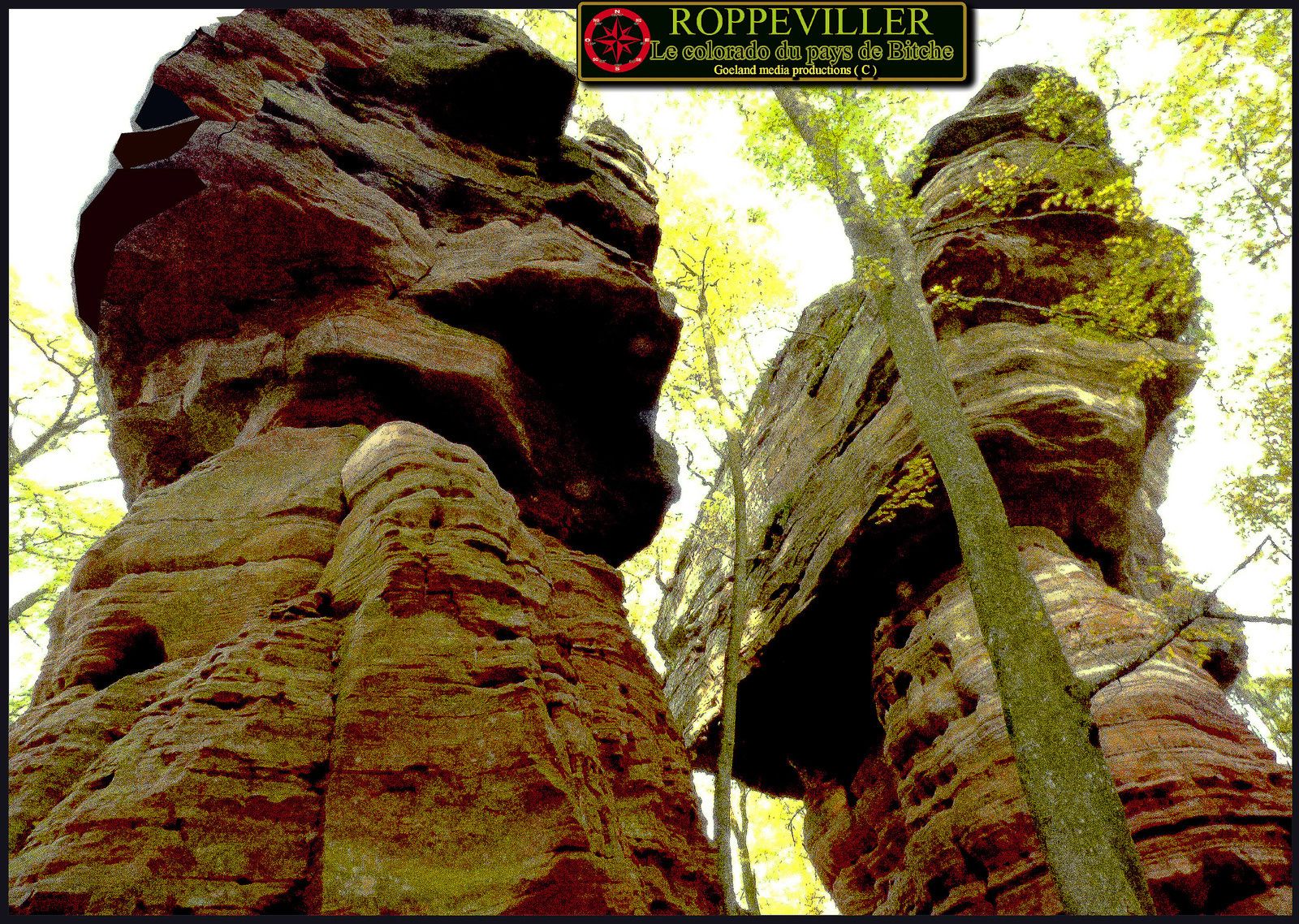 COLORADO de " BITCHE " , en réalité en Allemagne, Altschlossfelsen ( rocher de l'ancien château )