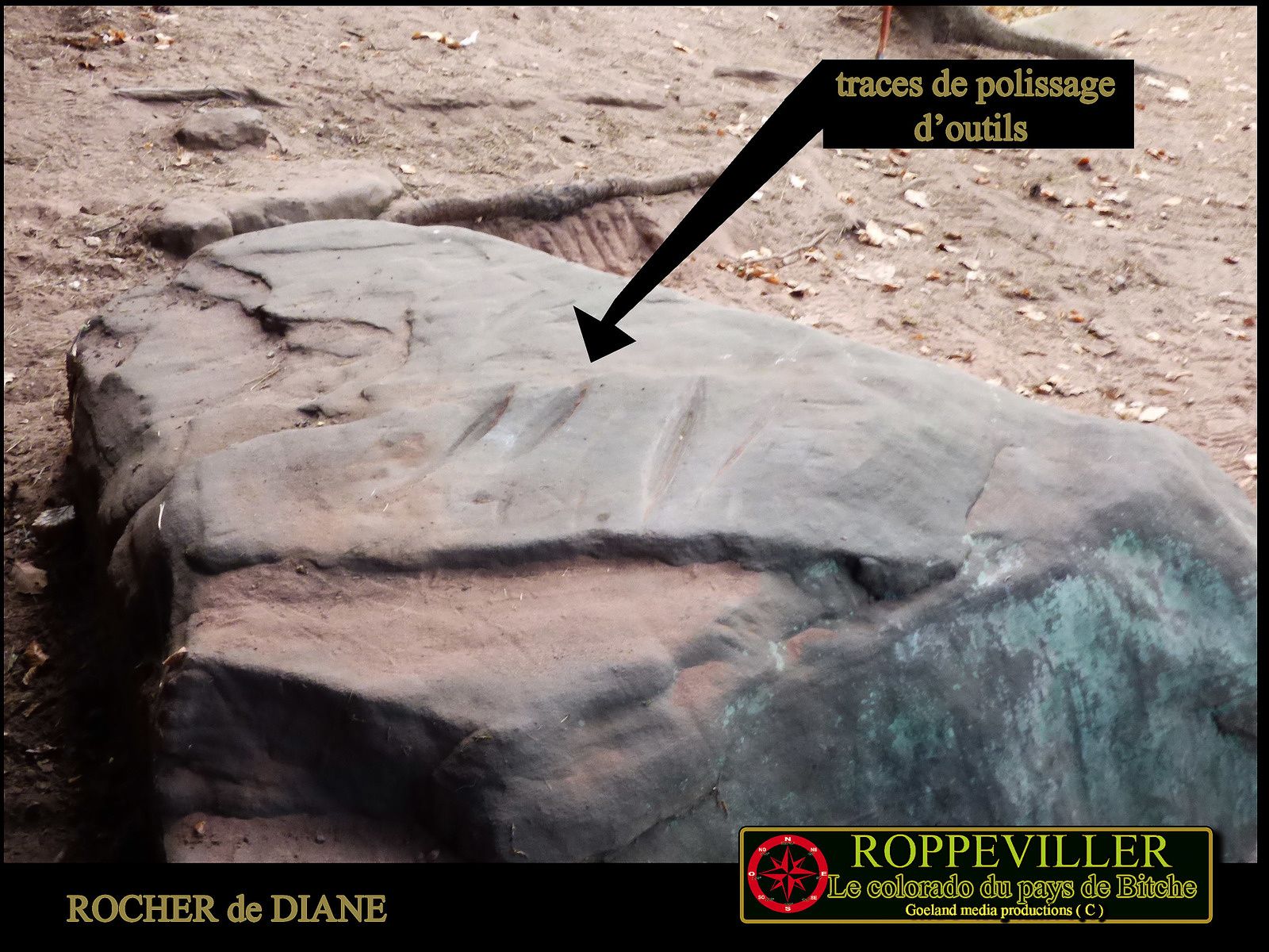 Rocher de Diane ( Moselle- Lorraine ) près de l'ALTSCHLOSSFELSEN ( Allemagne )