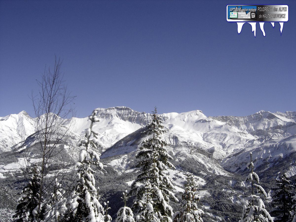 Poudreuse en Alpes de Haute Provence - Col de Chalosse ( La Javie ) - basses Alpes - vallée Blanche