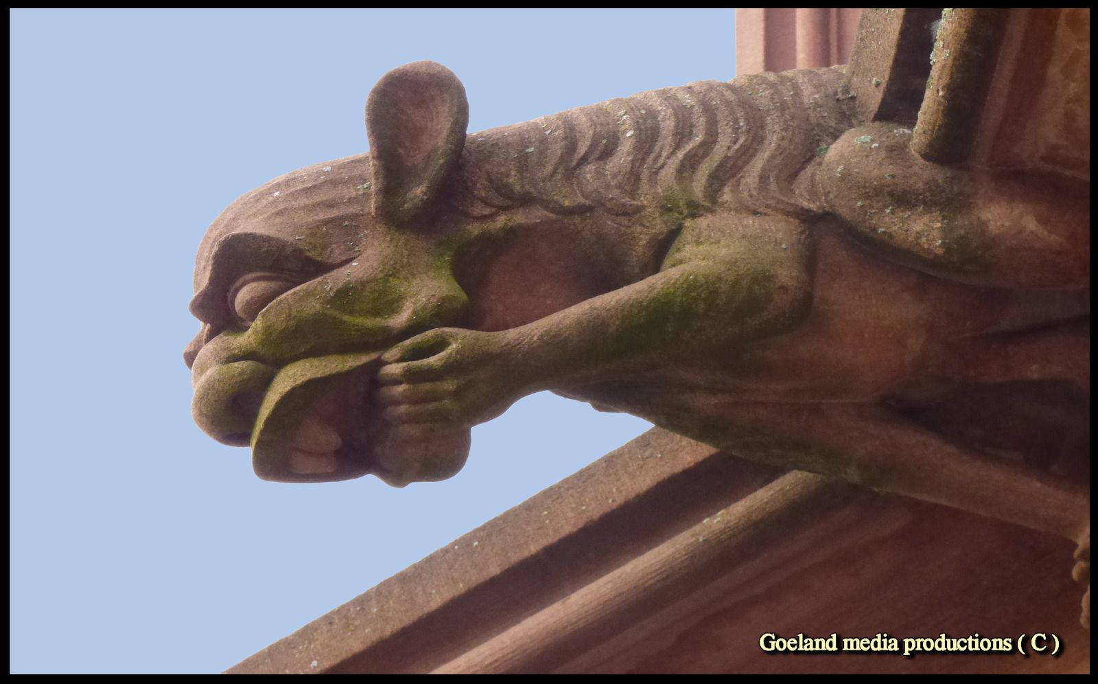 Cathédrale de SRASBOURG - Gargouilles - ALSACE - GRAND EST