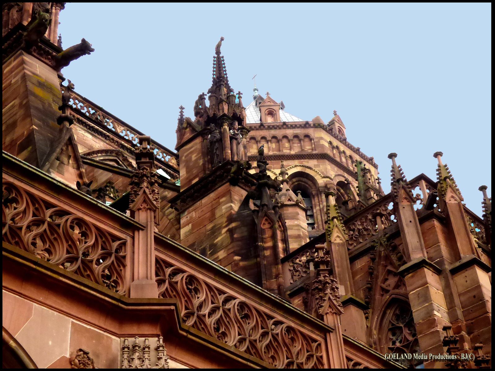Cathédrale de STRASBOURG - Gargouilles de la région GRAND EST