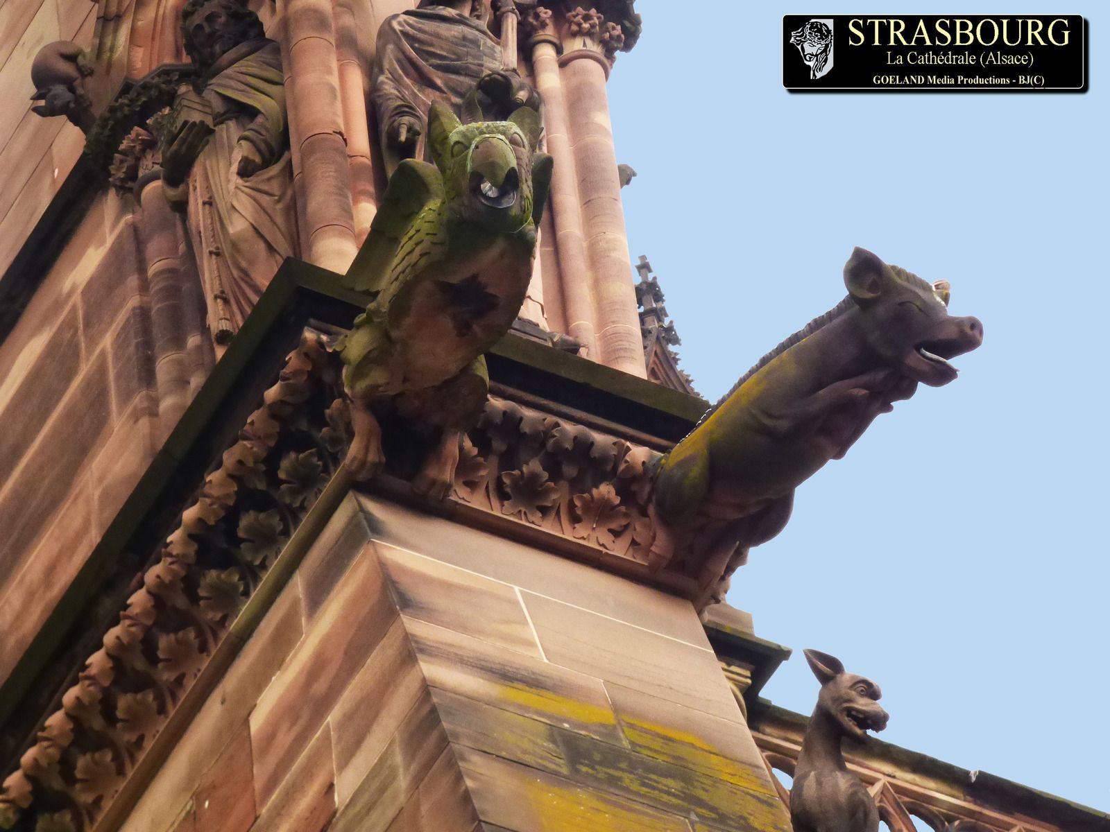 Cathédrale de STRASBOURG - Alsace - Grand EST