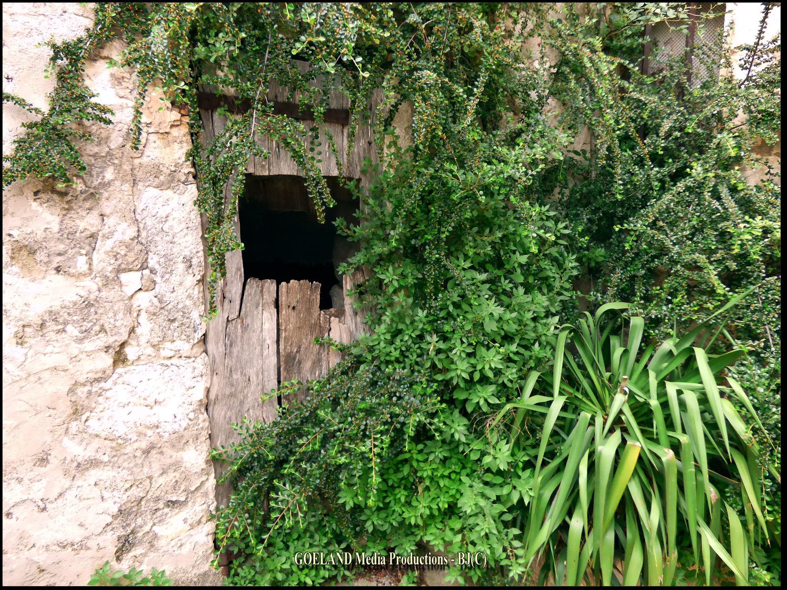 PORTE vénérable vue à SIMIANE