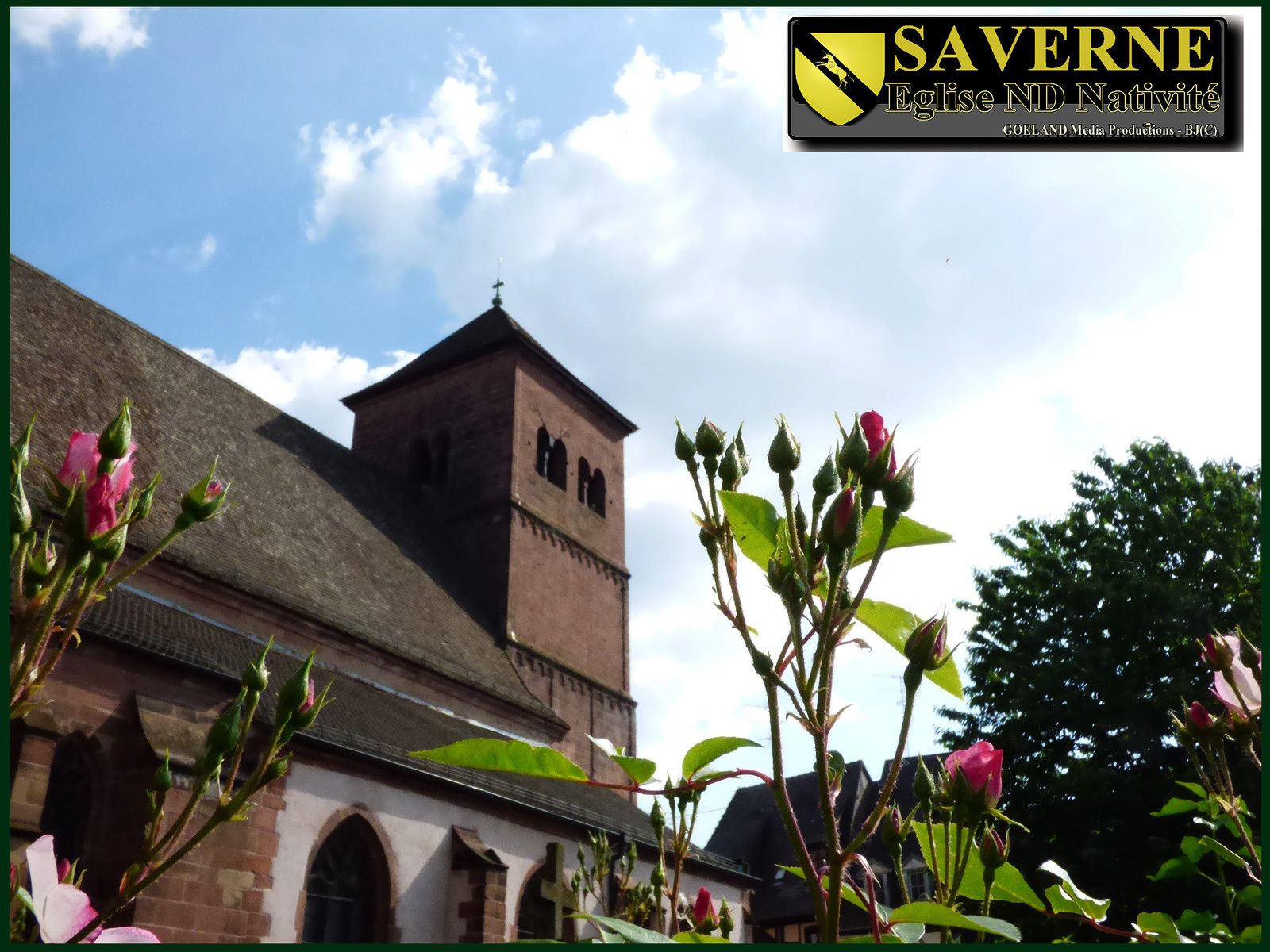 Ancienne COLLEGIALE ND de la Natalité - église Saint Barthelemy saverne alsace