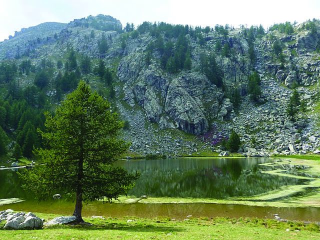 Lac des GRENOUILLES - près du refuge de FONTANALBE ( Roya ) - Alpes Maritimes